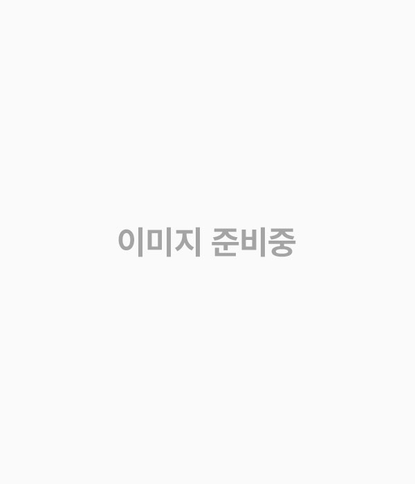 베트남 친투항